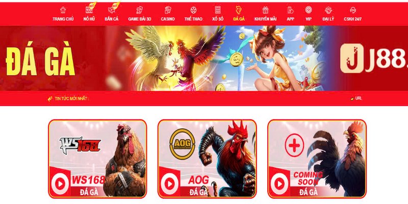 Đá gà J88 là nơi bạn có thể xem trực tiếp những trận chiến siêu kinh điển